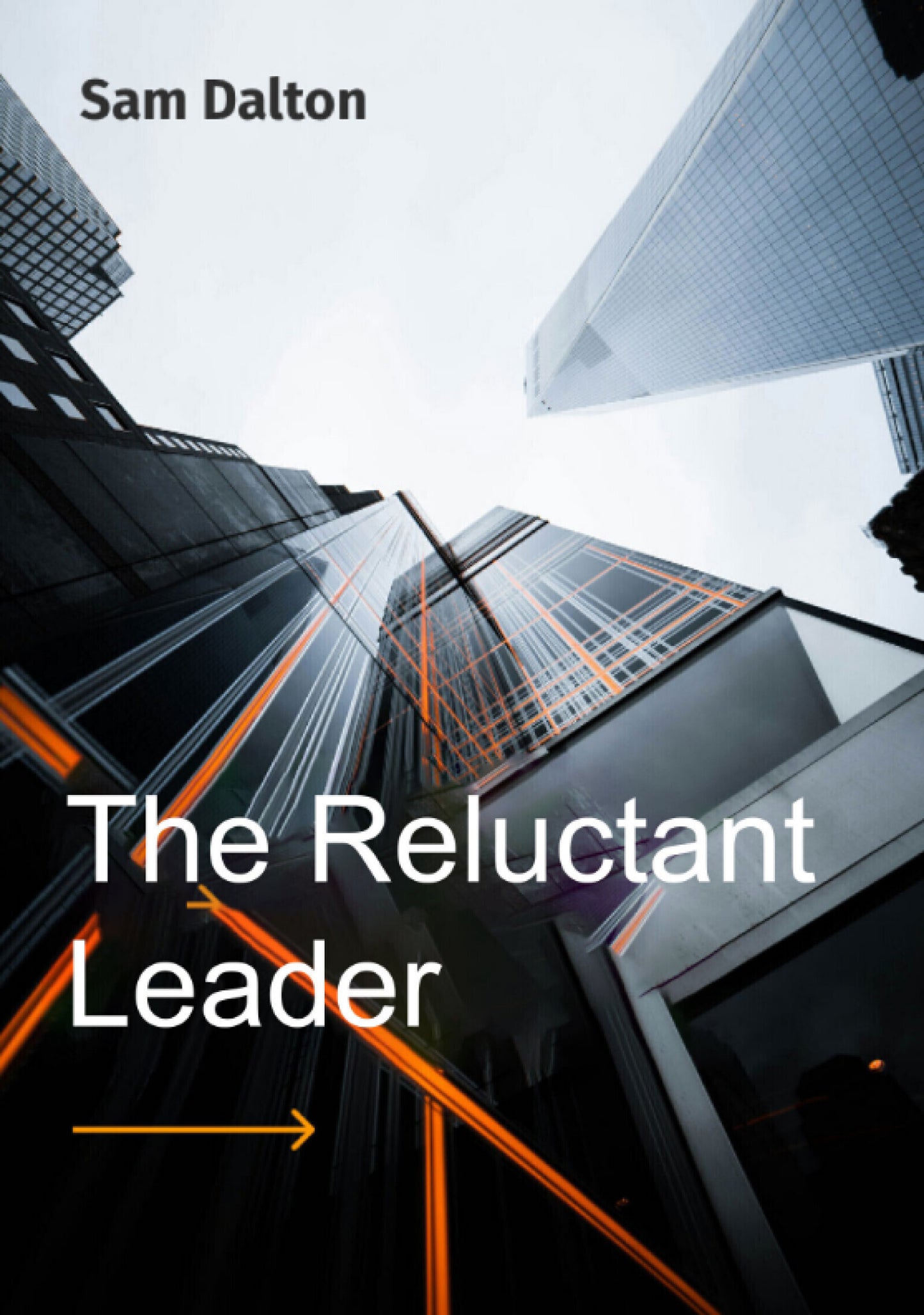 The Reluctant Leader (Ebook)